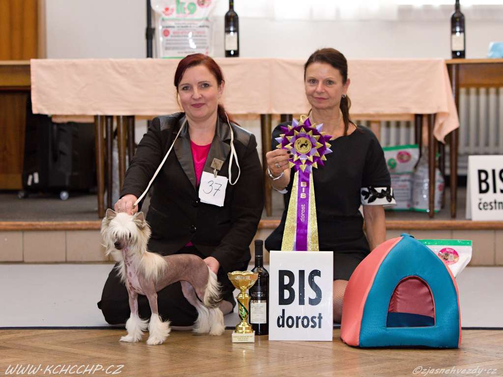 Prima Donna z Jasne hvezdy