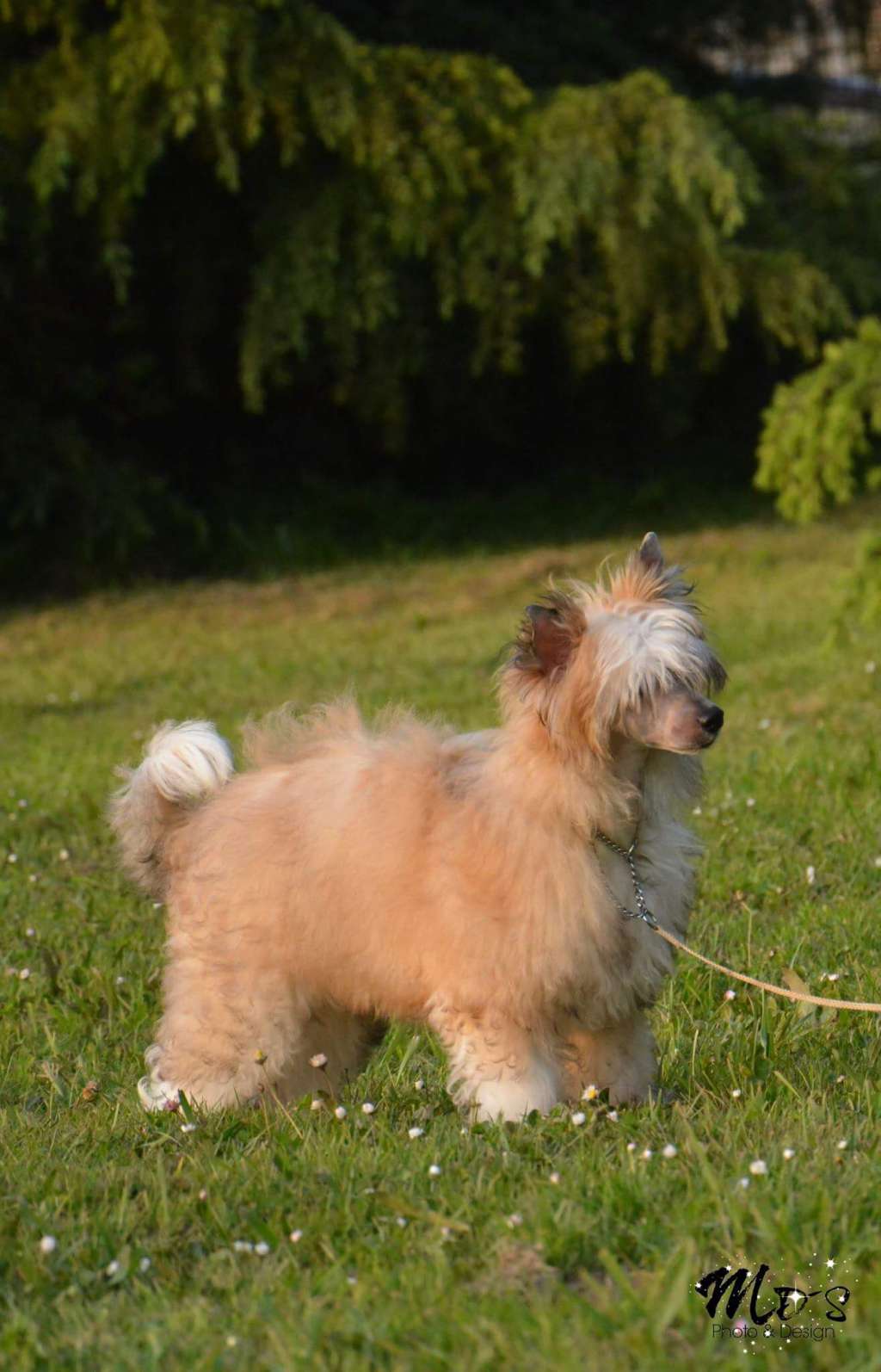 D'Rapakan Dj Theo Con H Intercalada