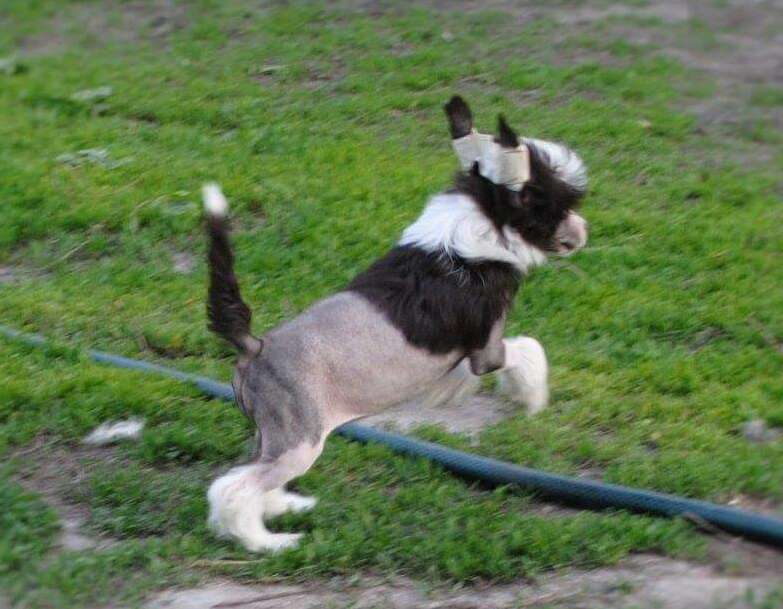 Lake Of Energy Dom Risorto