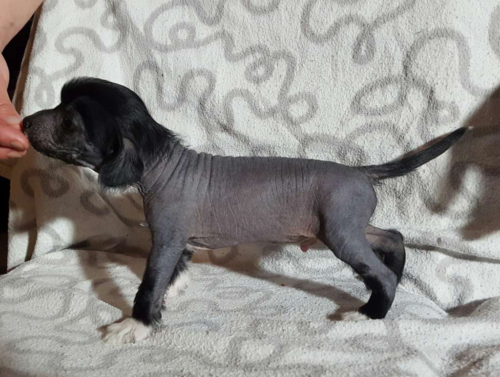 Andrakebyn's Captain Cold