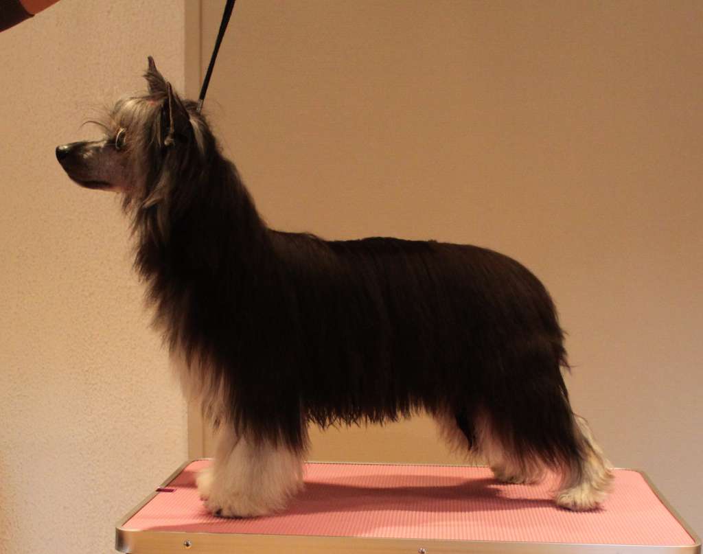 Xiu Smaragd For Heimdall Fort