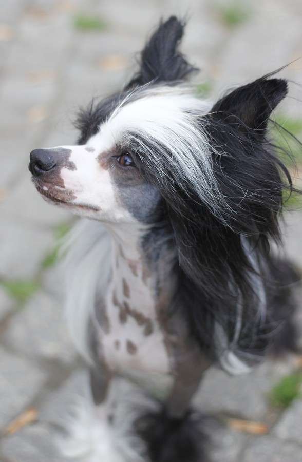 Energy Di Colin for Gattaca