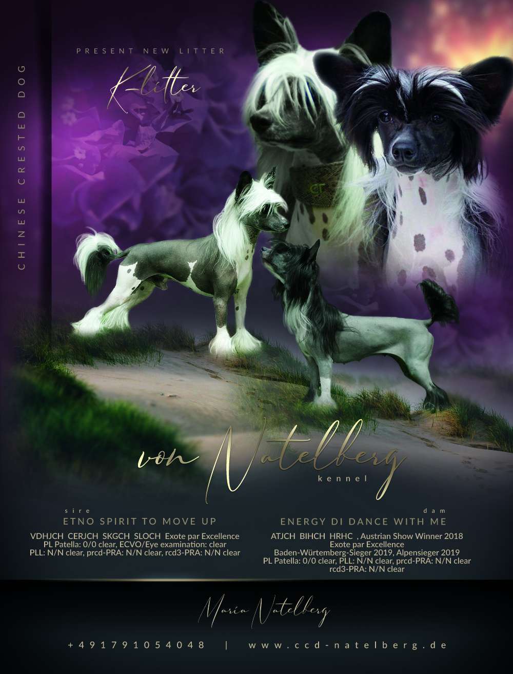 Energy Di Dance With Me