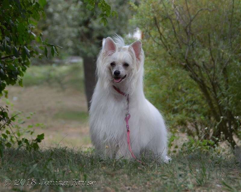 Von Shinbashi HighProvocation