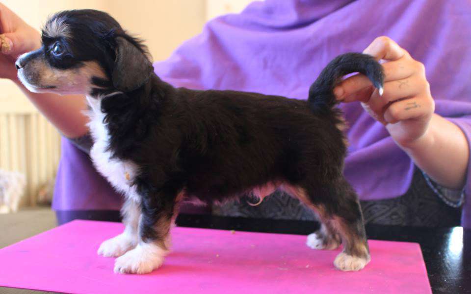 Love Bites 16 Dollars