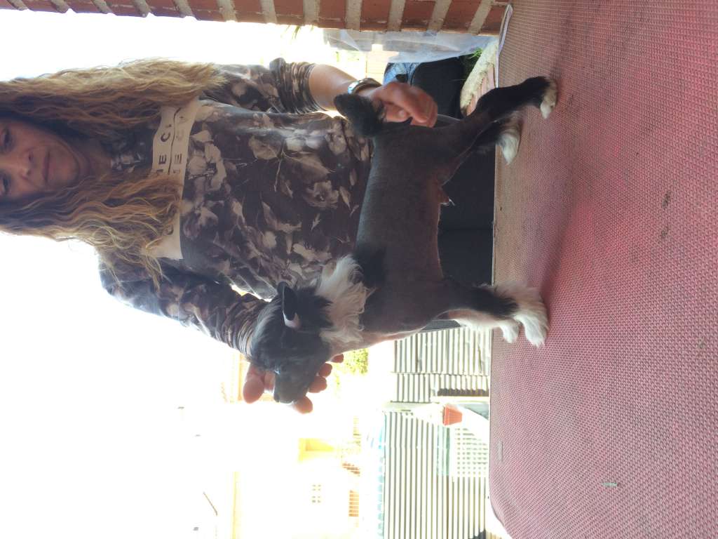 Valkrest La cosa Nostra