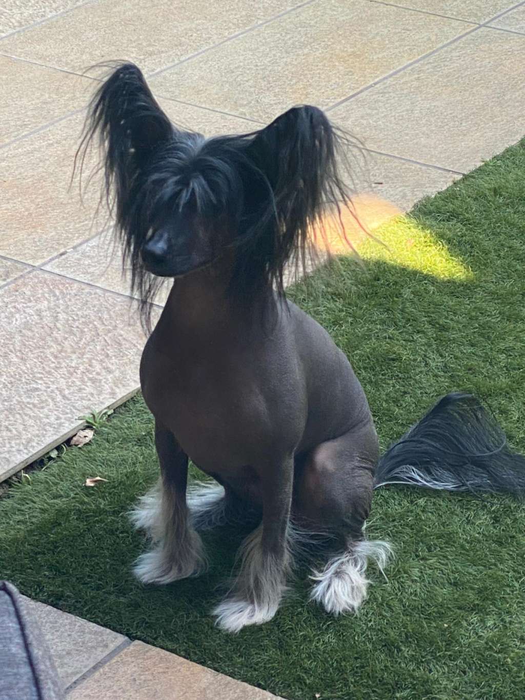 Habanero Dark Pepper