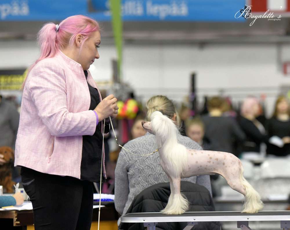 Valanyan Unleash The Beast