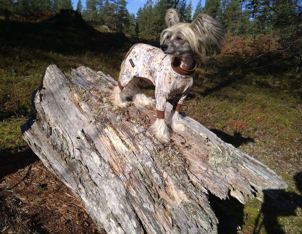 Happy Dancing Favorite Gorgeous