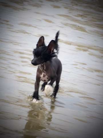 Xactly What I Need Princes de la Roses