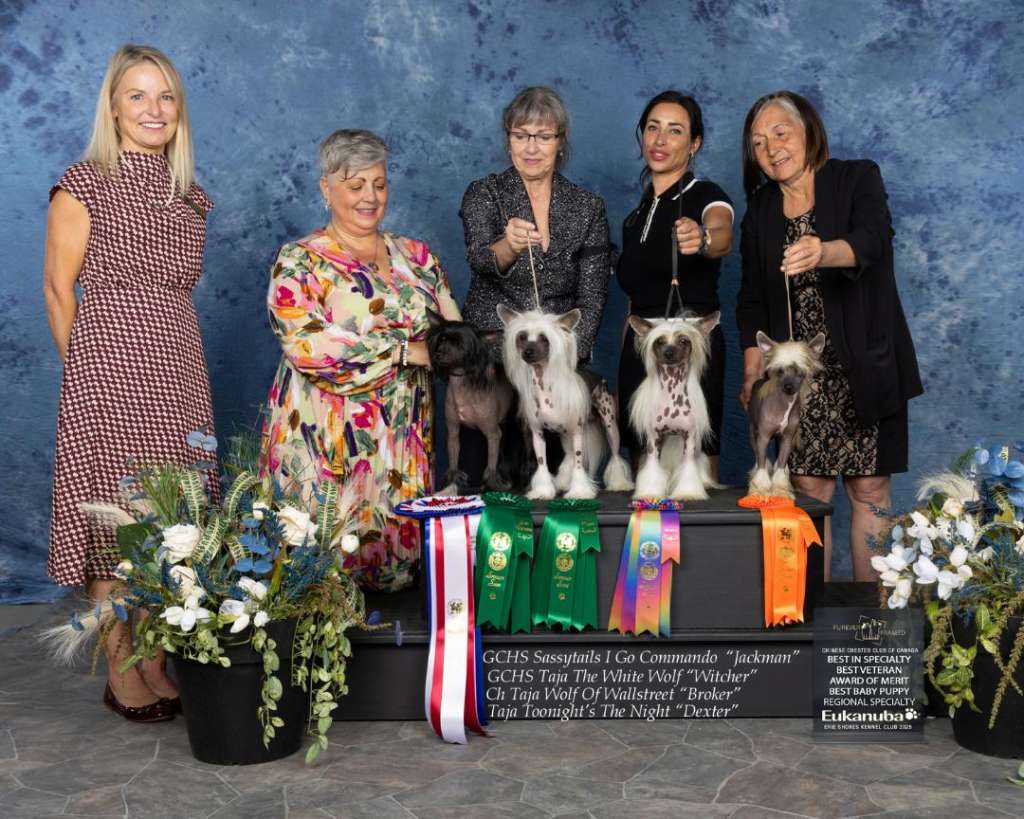 MBis Rbis Biss Bpis MBpiss Mbbpis Can Gchs Am Ch S