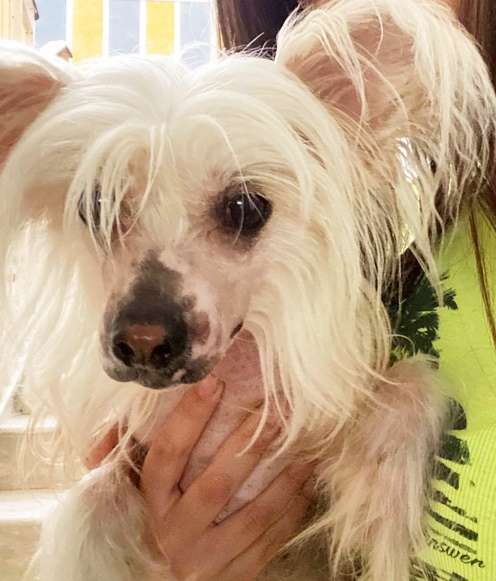 Magic of Success Concord