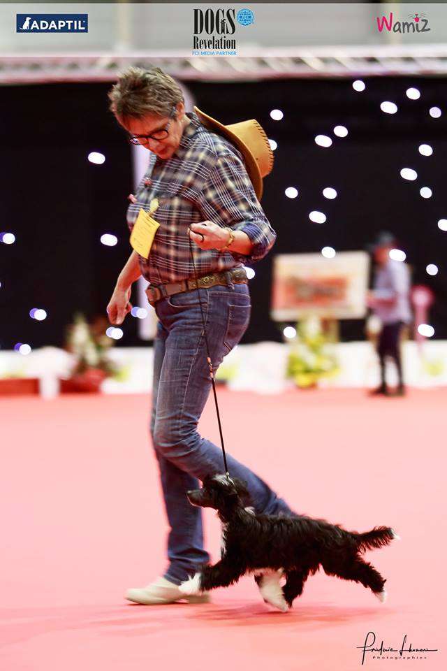 need your loving du pavé de varennes