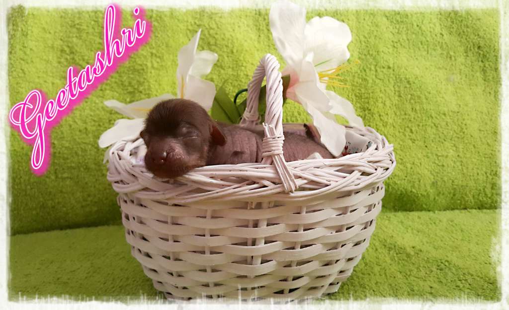 Geetashri of Purple Rain