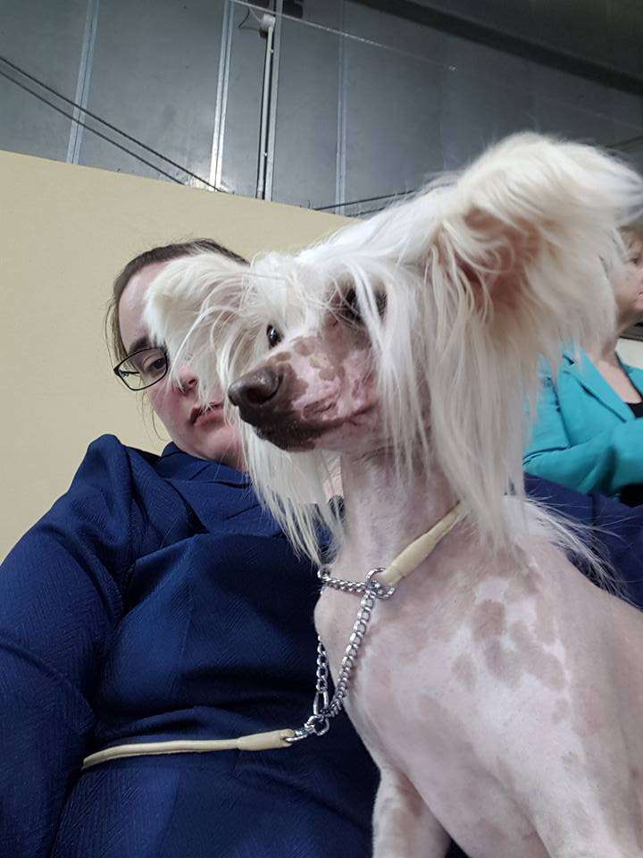 New In Town of Angel's Legacy for Tarabish