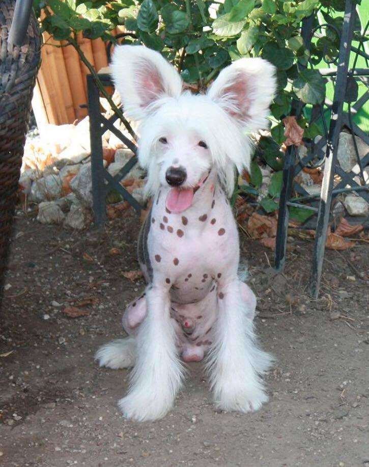 Brooklyn Sweet Moments