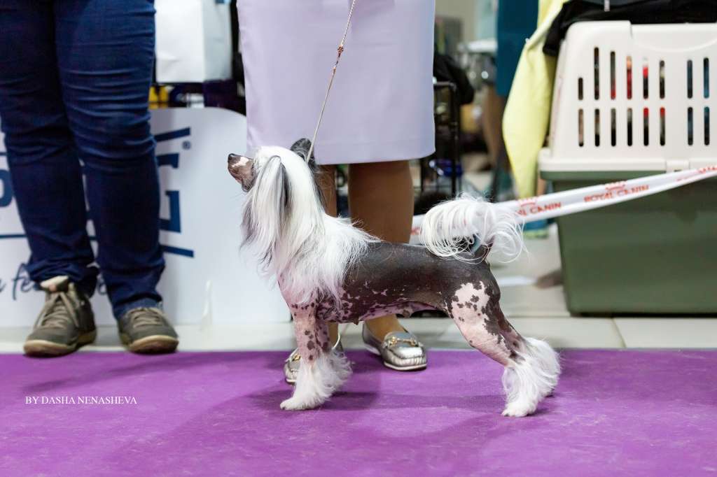 Mashama Mazi Rus Ukengee Grand Passage