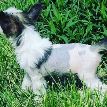 Family Mar'S Nikodim