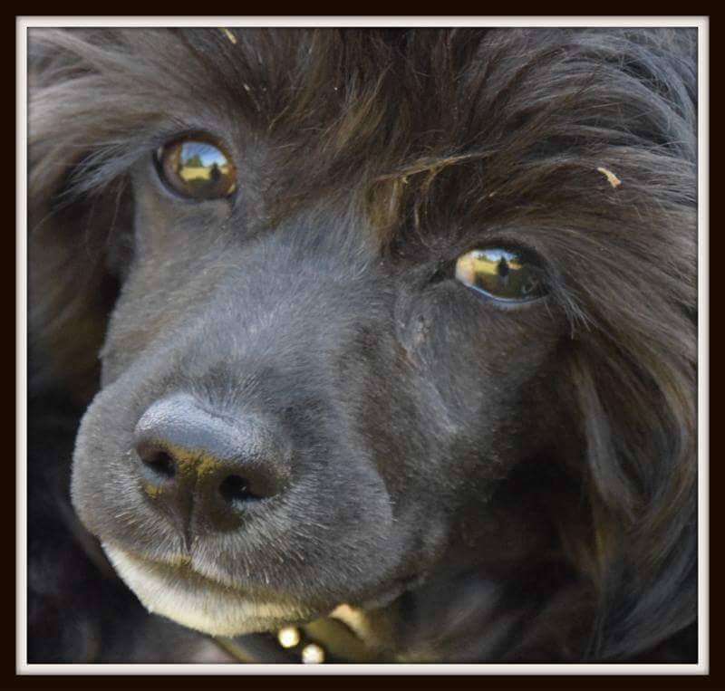 Night Shift Of Pastime Paradise