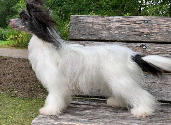 Maybell's Zillion Kisses