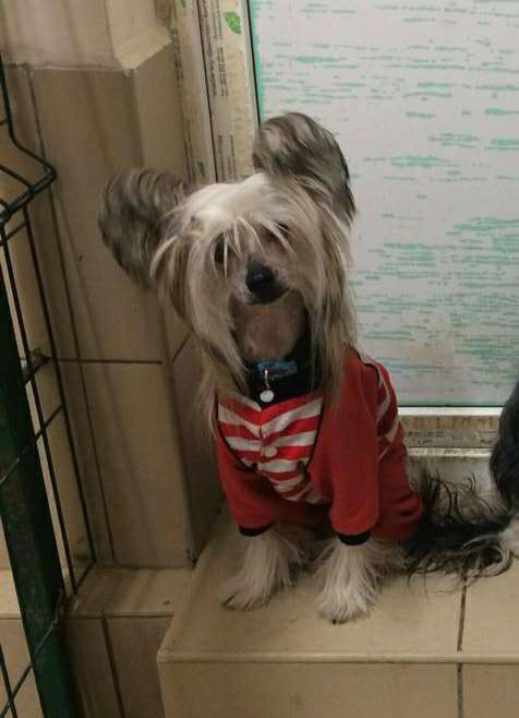 Chosen One Iz Ordena Ekate-Riny