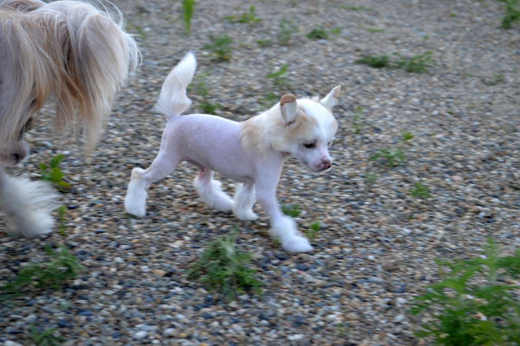 Charge the Rhythm Iz Ordena Ekate-Riny