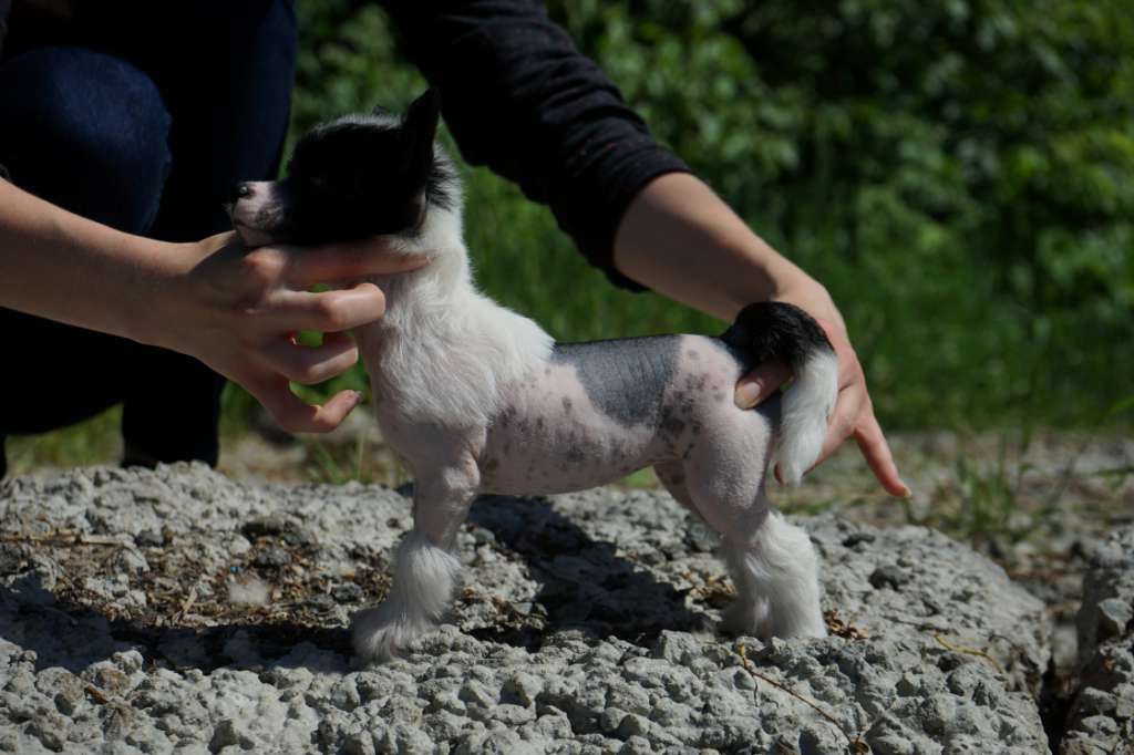 Sky Miracle Emily Deschanel