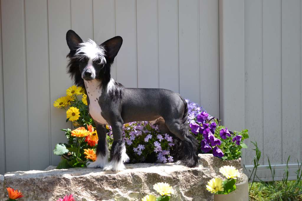 Worka Art - Delende Running Bare @ Sunlit