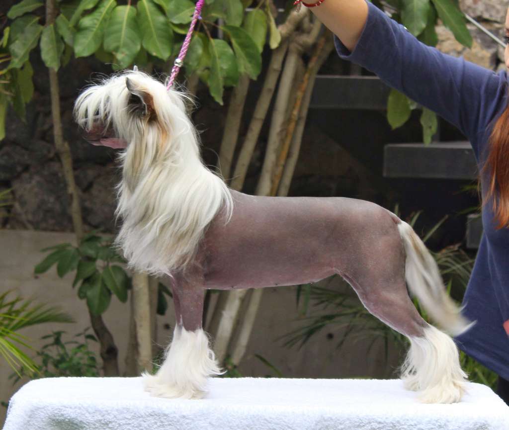 Aytana Ready To Shine (Cantarell)