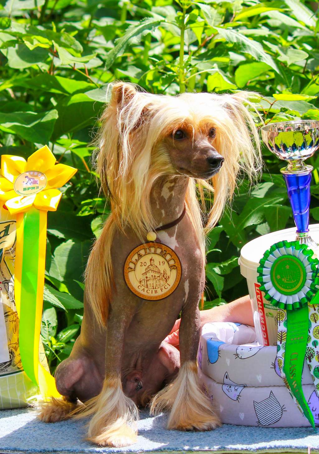 Laisan Island Anarion