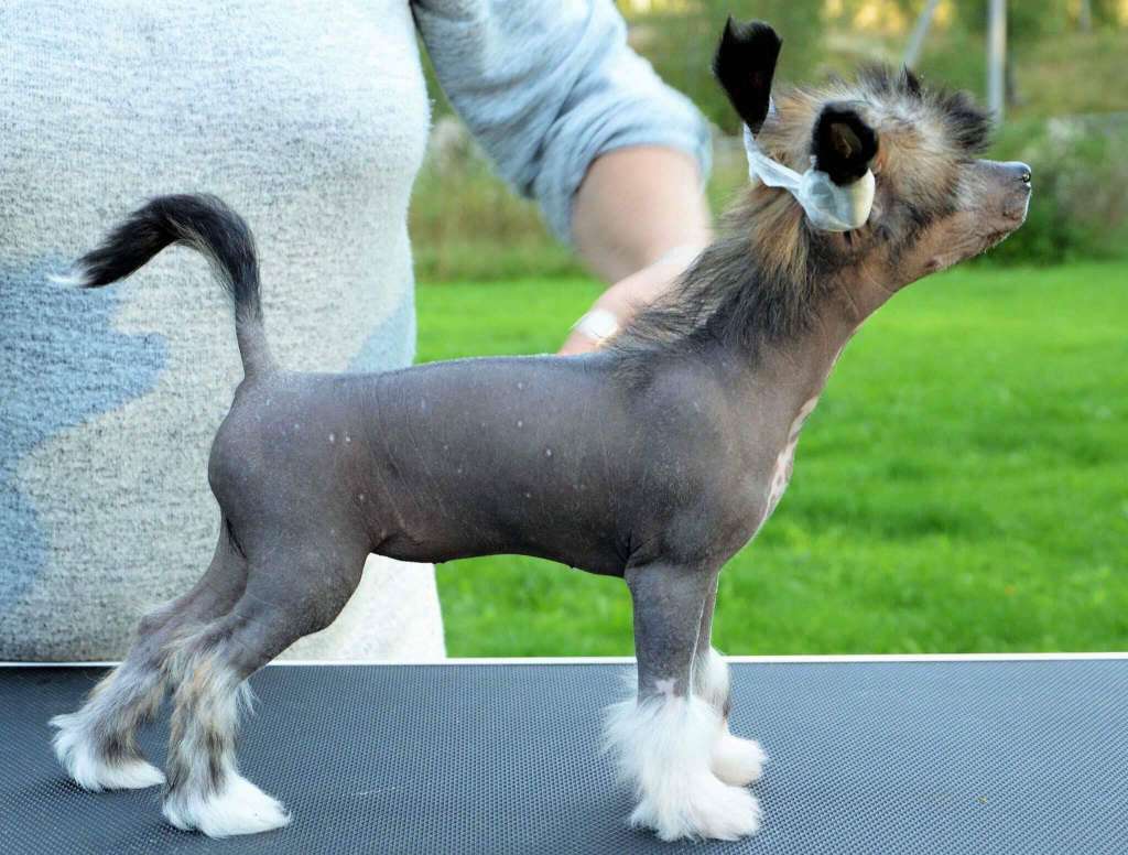 Deamor's Elusive Hope