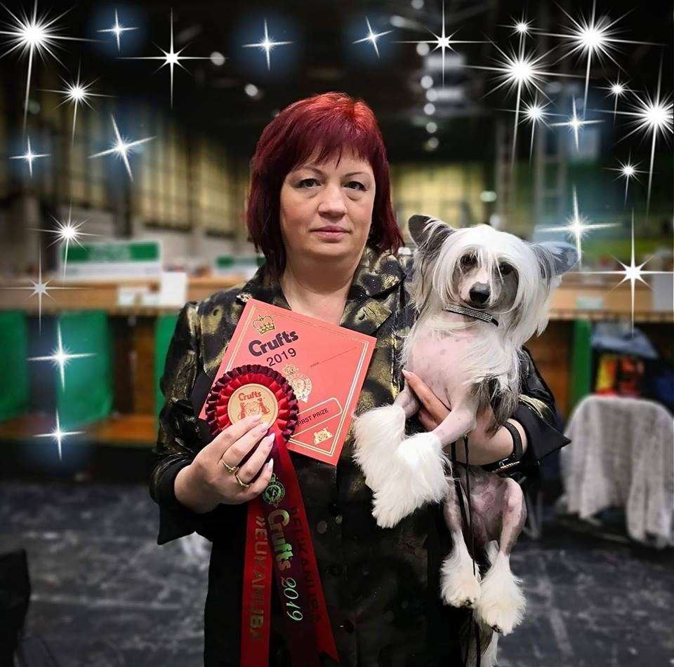 Fundoklia-völgyi Kaszanics Indigó