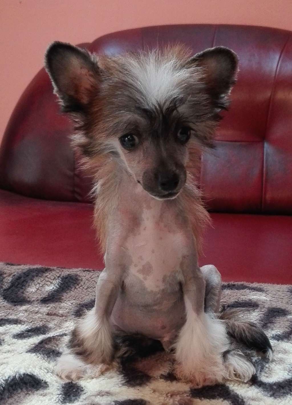 Fundoklia-völgyi Kaszanics Whisky