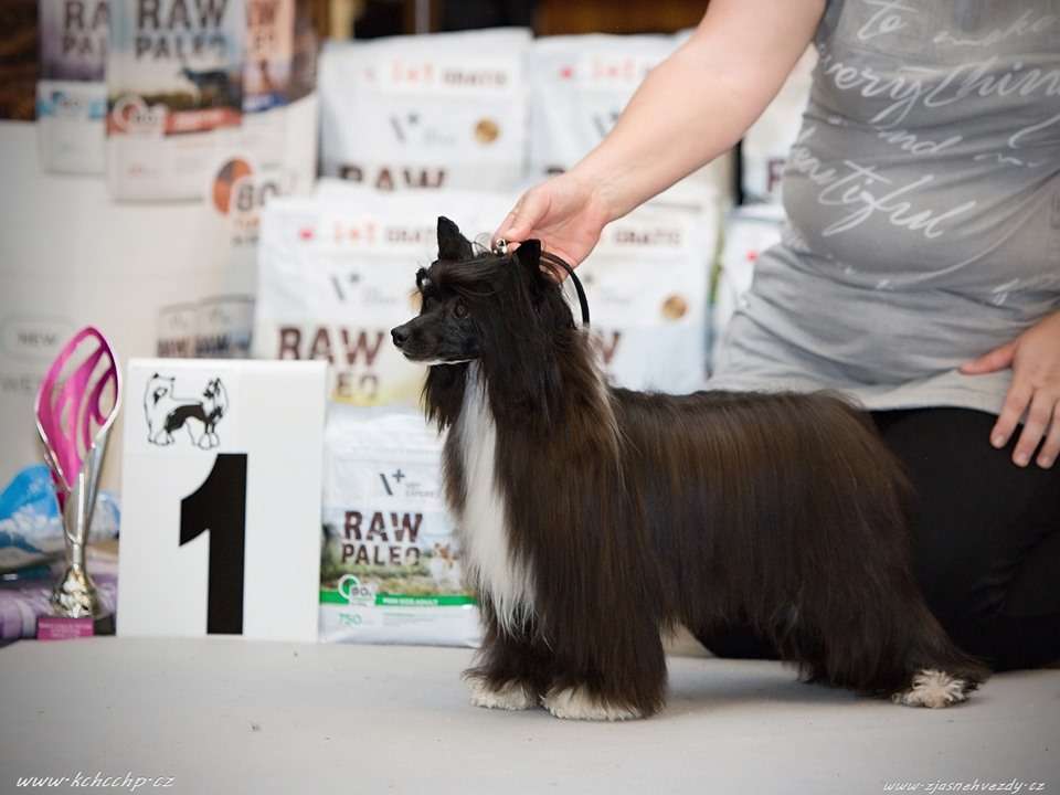 Audrey Hana's guards