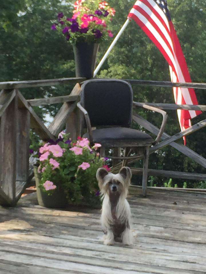 Evercrests Just a Little Bit Dirty