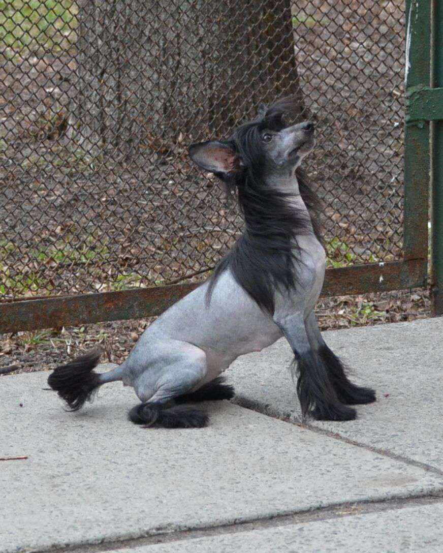 Magic of Success Dorothy Angels Eyes