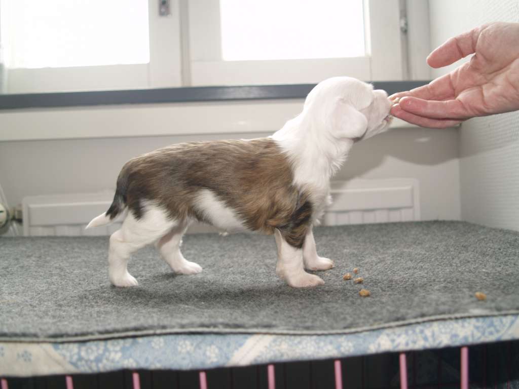 Black-Diva's Proud To Be A Daydreaming