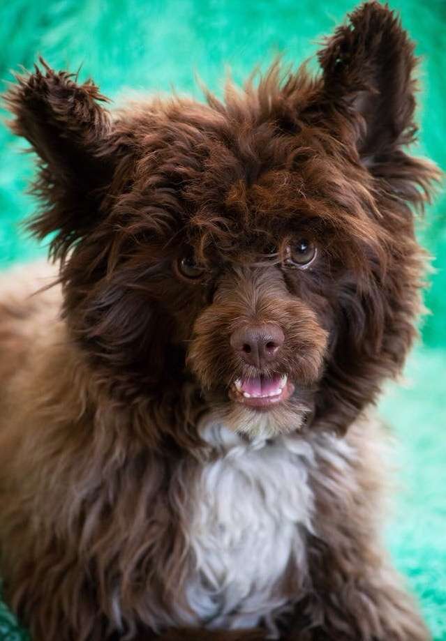 Marmaris Be Happy iz Clana Timurlana