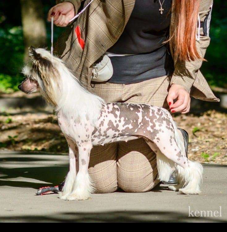 Zhemchuzhnaya Rossyp' iz Vishnyovogo Sada