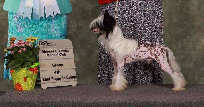 Rosebriar's Caught You Looking