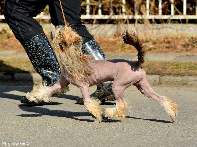 Filip ze Zatopené chajdy