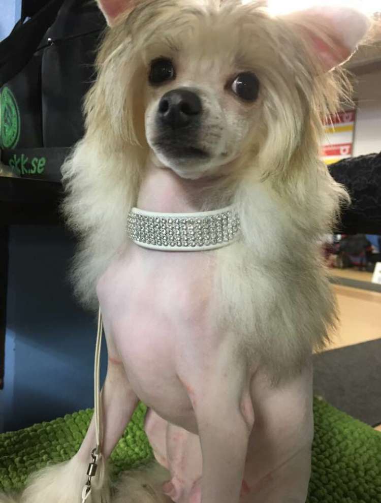 Baby Pearl Tater Tots