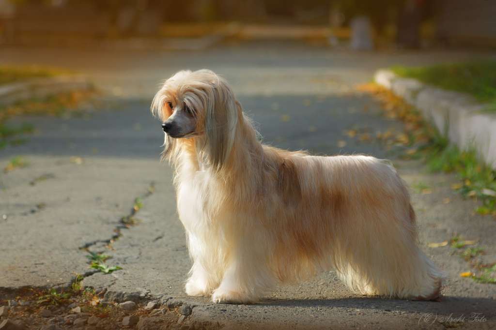 Olegro Katrin Randevu