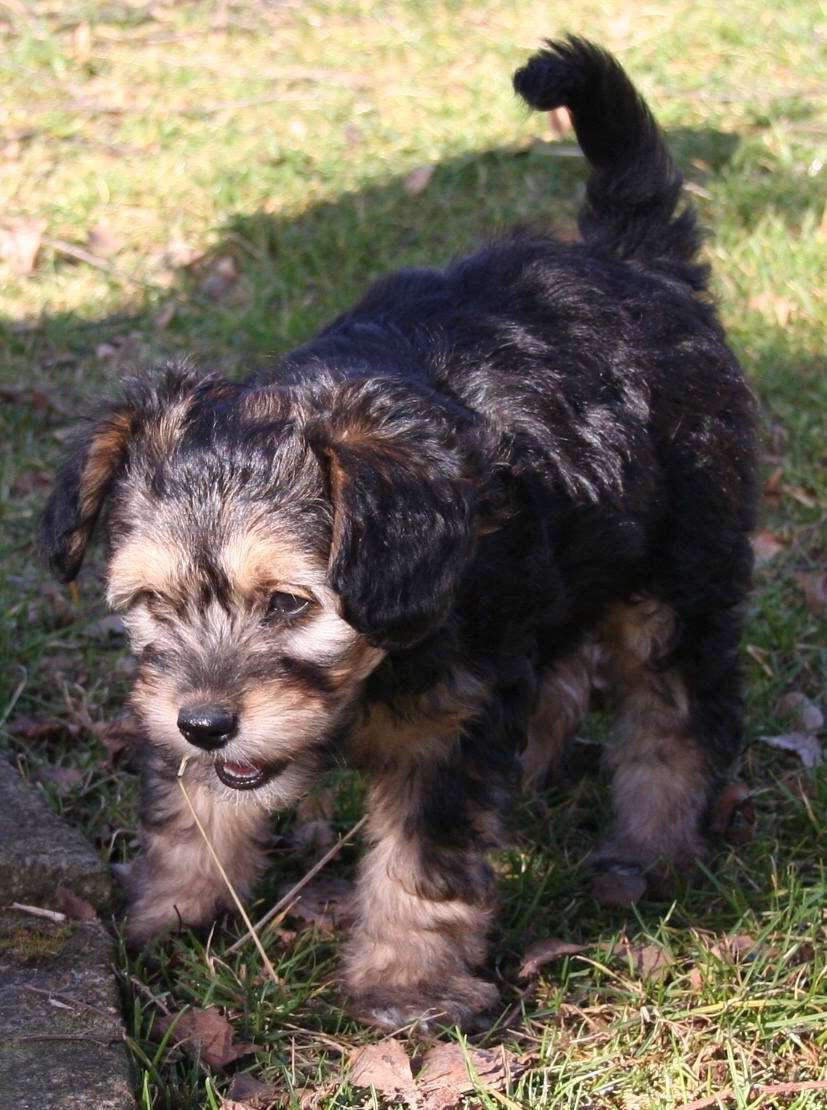 Shi Huangdis Emmett Cullen