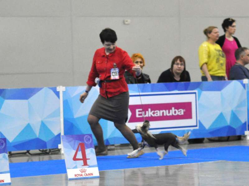 Aurum Time Only You  Zholesk