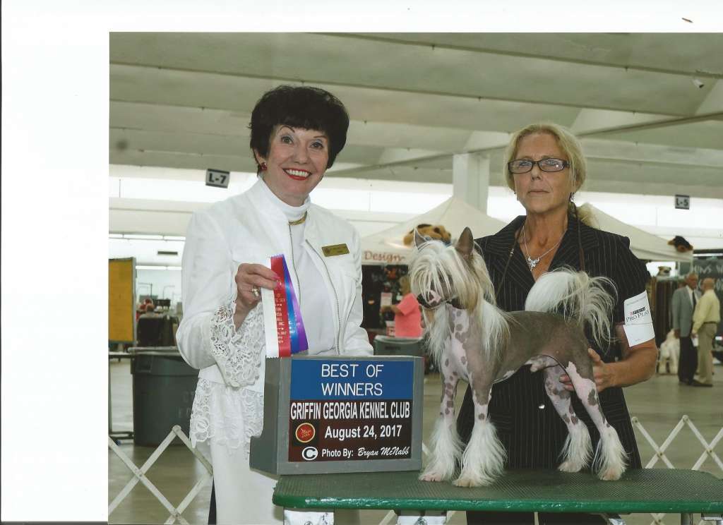 Verdi"s Hook Line And Sinker