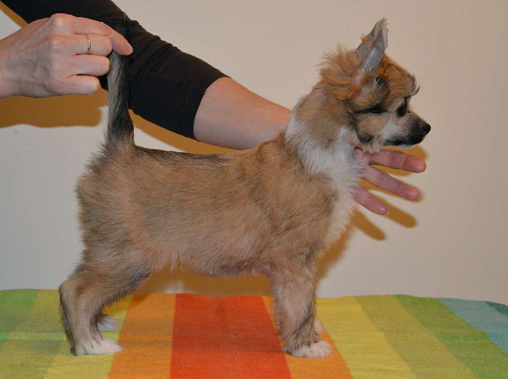 Brigitte Justice Insolite Familier