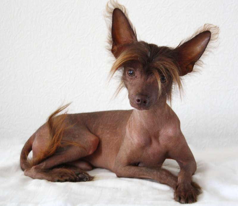 Anda Frelsis Jackpot