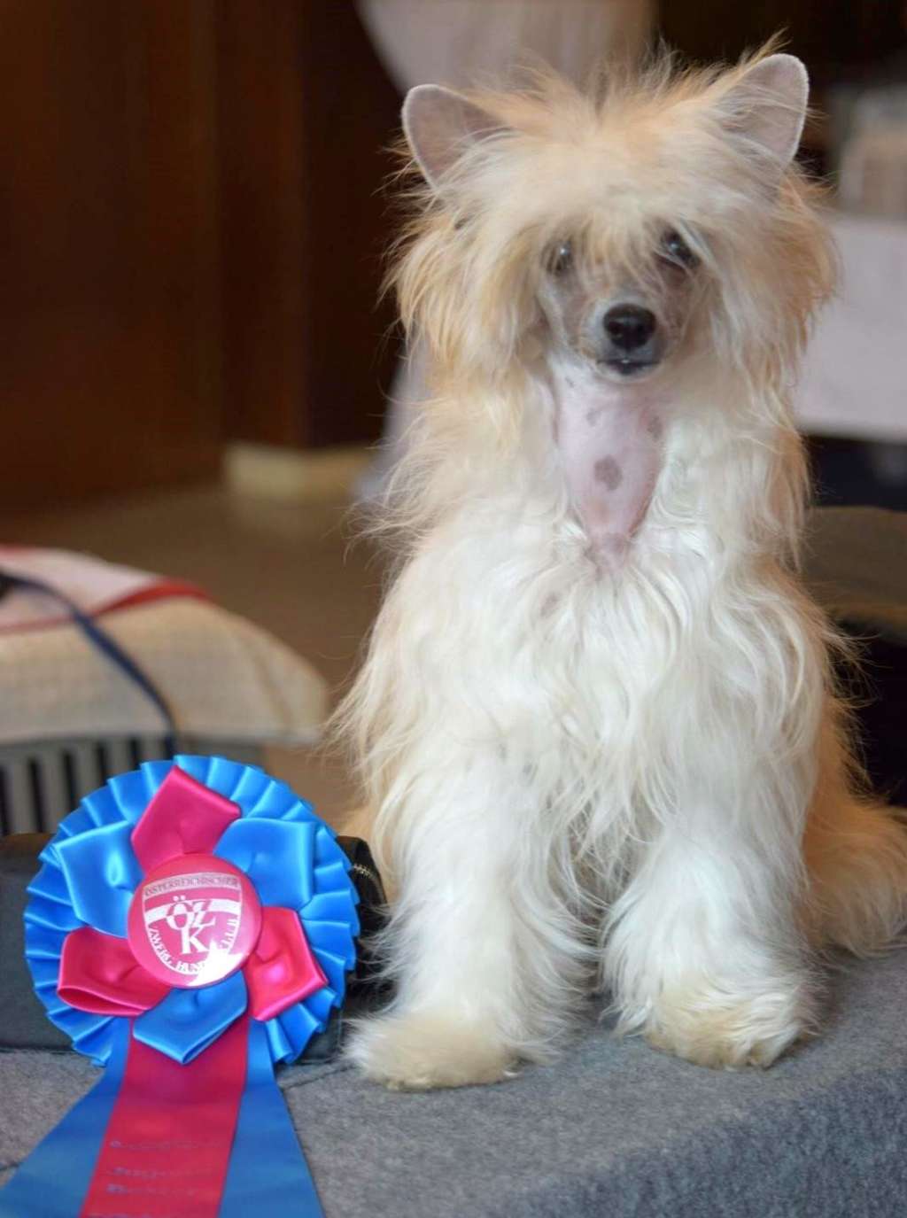 Dylanne Sweet Moments