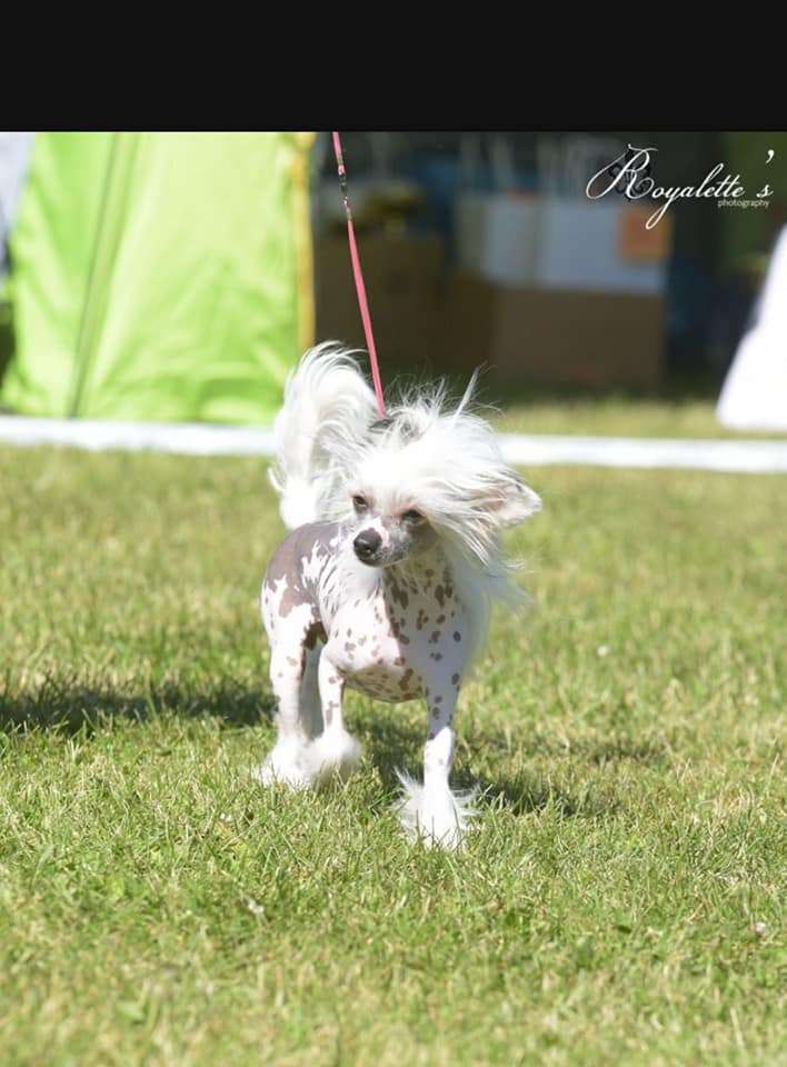 Tapi-Tapi Catalina Margarita